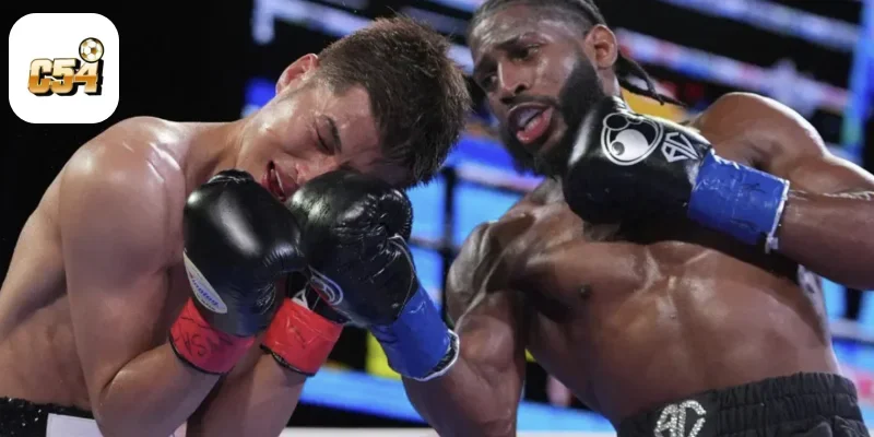 Cá Cược Boxing Online Tại C54 – Đối Kháng Đầy Kịch Tính 2 Boxing Online Là Gì? Các Loại Kèo Phổ Biến Trong Boxing