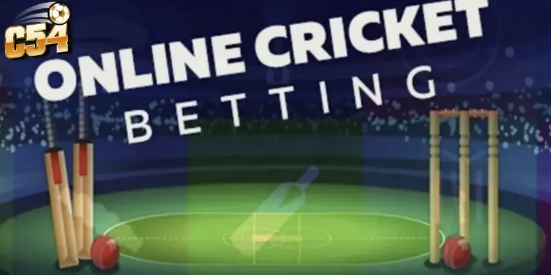Bí kíp cá cược cricket World Cup C54 chuẩn xác, dễ chơi dễ trúng