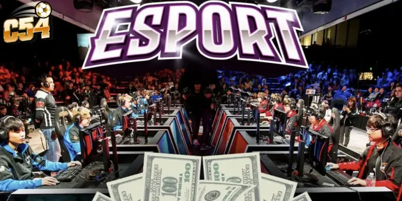 Hướng dẫn trải nghiệm cá cược esports Liên Minh C54 cho tân thủ
